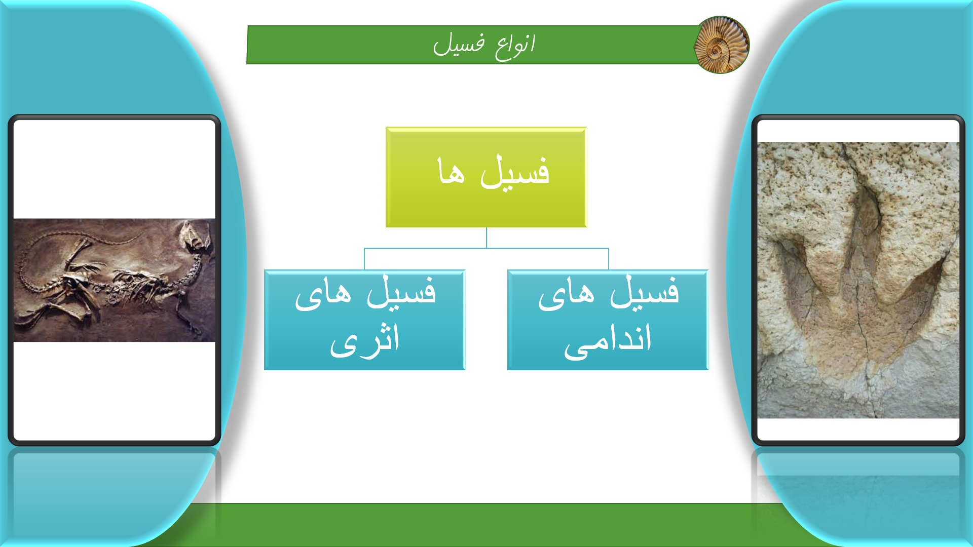 پاورپوینت در مورد فسیل ها 